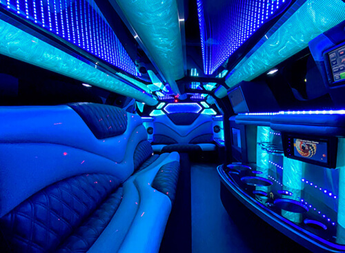 fiber optic lighting